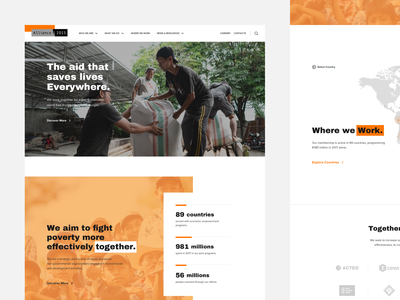 Alliance2015: A Strategic network of NonGovernment Organizations non-profit no-profit non governmen…