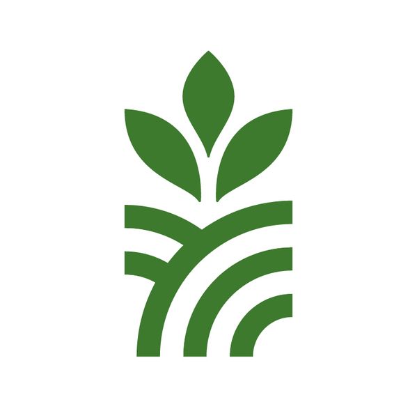 Mustard Seed Unused logo design by logo designer Overturf Design Studio for your inspiration and fo…