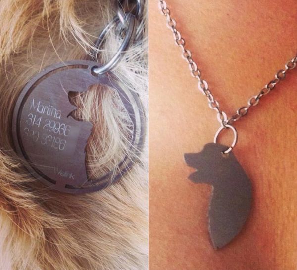 There's A Company That Makes Matching Pet Tags That You Can Share With Your  Cat Or Dog | BuzzNick