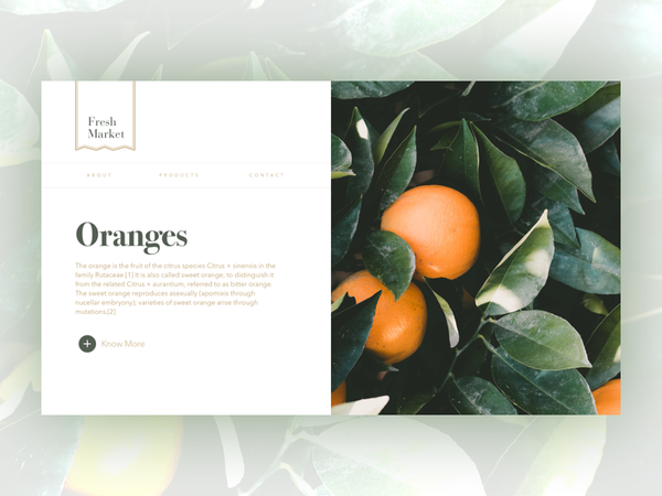 Fresh Market organic fresh oranges ux ui website landing page