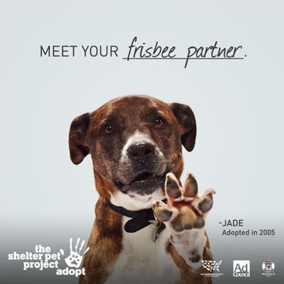 24f18221861c90cbb0949cc05352bb94