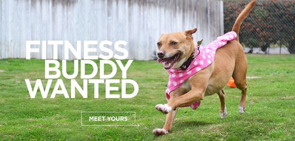 Slider17_FitnessBuddies