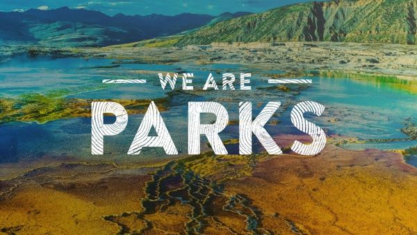 Image result for national park print campaigns
