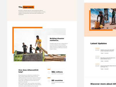 Alliance2015: A Strategic network of NonGovernment Organizations non-profit no-profit non governmen…