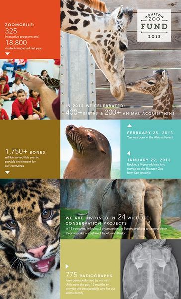 Houston Zoo Annual Fund :: Tricia Logston | Houston zoo, Nonprofit design,  Zoo marketing