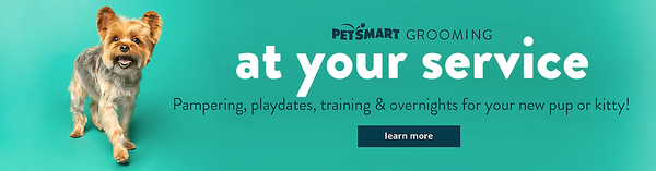 Screen Shot 2020-01-10 at 12.25.20 PM