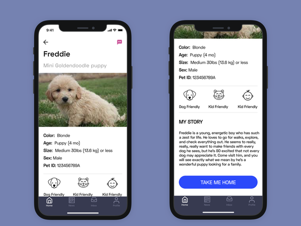 Pet Adoption App - Pet Profile ios x iphone app concept pet adoption app weeklyui ux adiom dashinsk…