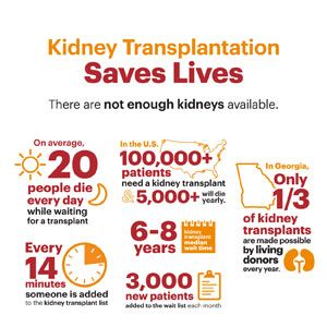 Kidney Living Donor Infographics Online | Piedmont Healthcare