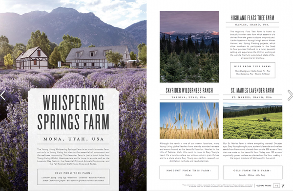 Screen Shot 2018-03-15 at 2.27.41 PM