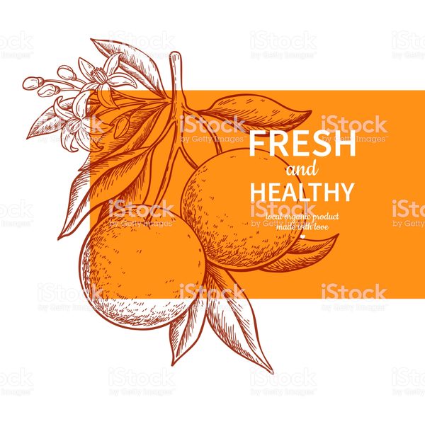 Screen Shot 2019-08-05 at 9.48.48 AM