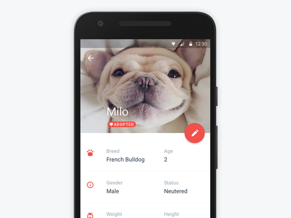 Pet Profile ui mobile social app android material design profile pet