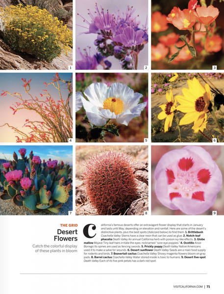 Screen Shot 2018-03-16 at 12.44.19 PM