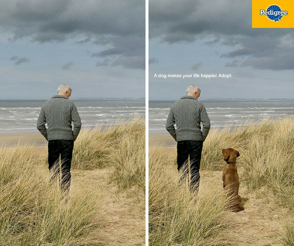 pedigreeprintcampaign