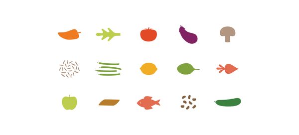 GreenChef_Branding_Illustrations_B