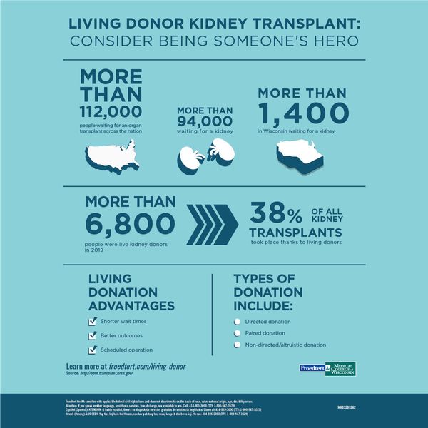 Living Kidney Donor Infographic
