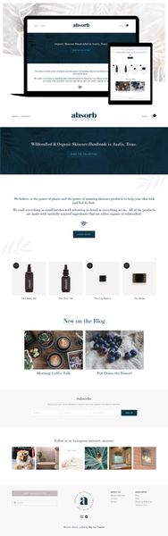 Absorb Skincare Squarespace Website Design by Big Cat Creative