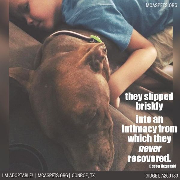 eccdc74bf68a4e9018e6cd4703ff4f07