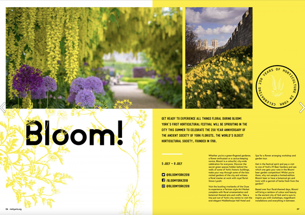 Screen Shot 2018-03-15 at 2.06.38 PM