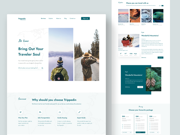 Travel Planner Preview design branding website design graphicdesign user interface ui web uiux clea…