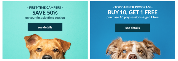 Screen Shot 2020-01-10 at 12.25.49 PM