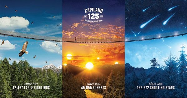 684553_102_1160_MTM2NzExMTg5MjI2ODgyNjI0Mw