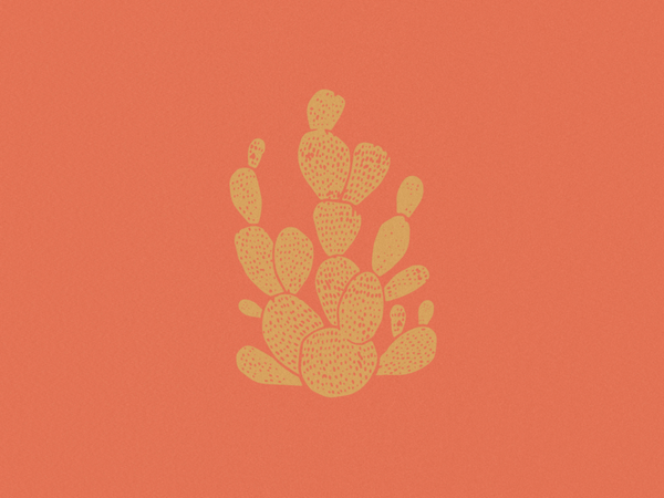 Cactus logo for Low Desert Distilling west typography typeface type design type southwestern southw…