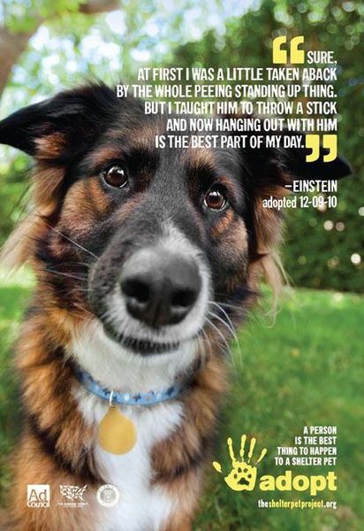 aaa1b2e085d590aecf6fd6c4e3d98342