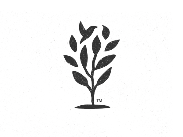 Growth by Yossi Belkin - Dribbble
