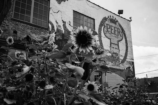 Home | Plant Chicago
