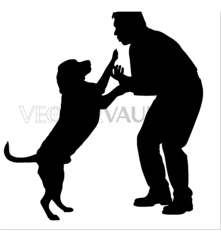 Google Image Result for https://cdn2.bigcommerce.com/server3400/jd4se/products/982/images/12970/898…