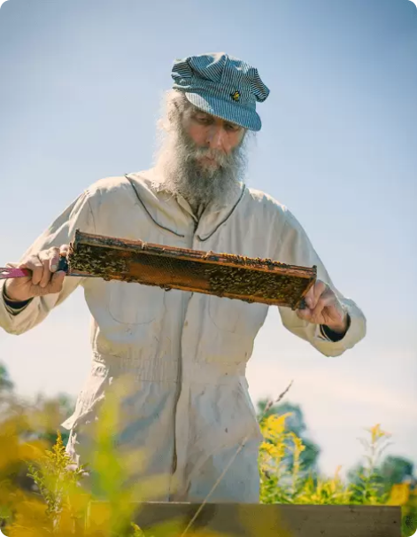 Burt's Bees