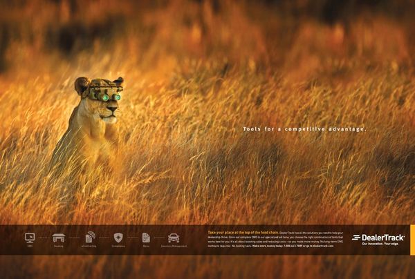 Print Advert By : Lioness | Ads of the World™