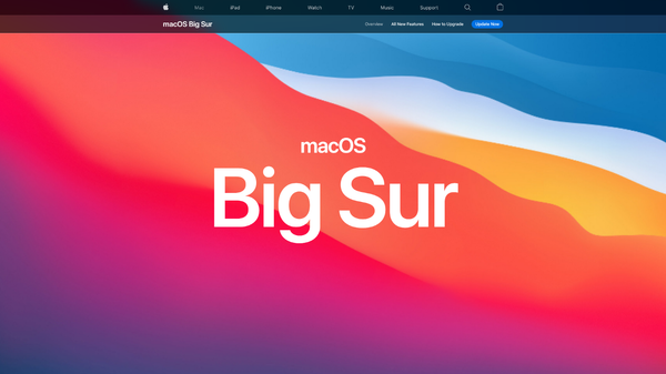 Coolest 25+ Web Design Trends In 2021, that’ll rock the world😎 | by ThemeSelection | Quick Cod…