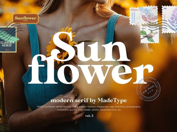 MADE Sunflower - Modern Serif calligraphy fonts font family sans serif logo fonts lettering fonts m…