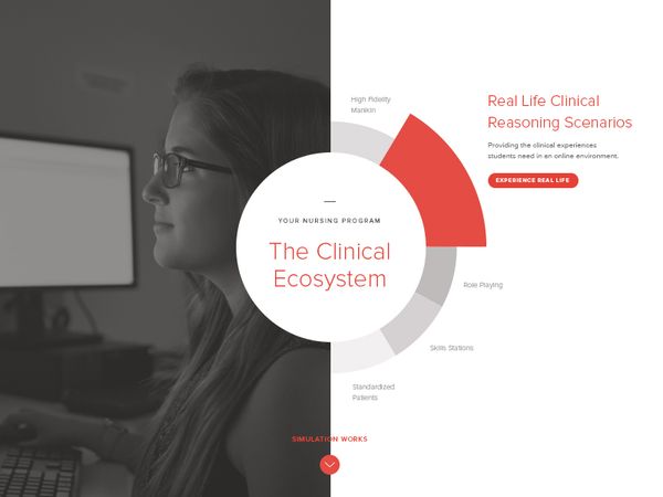 Clinical Ecosystem Infographic by Andrea Corless - Dribbble