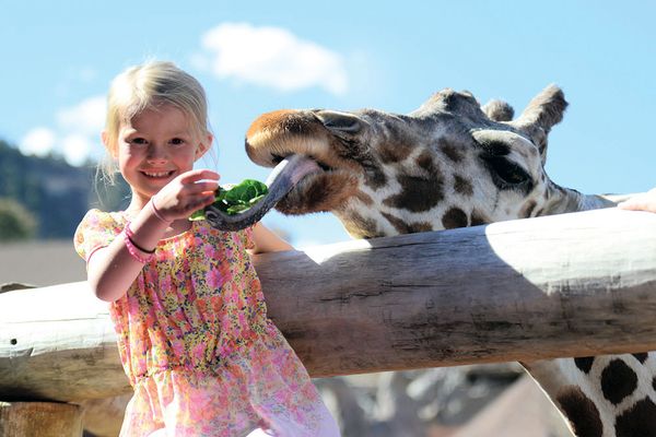 Welcome to Cheyenne Mountain Zoo - CMZoo