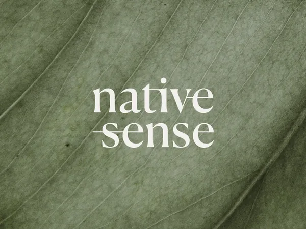Native Sense Logo Animation by Vilius Vaicius on Dribbble