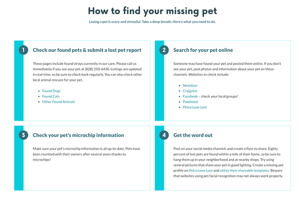 Asheville // Step by step