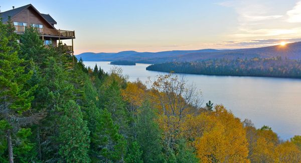 Forêt, Baleines, Ours et Ecolodge au Québec | 66° Nord
