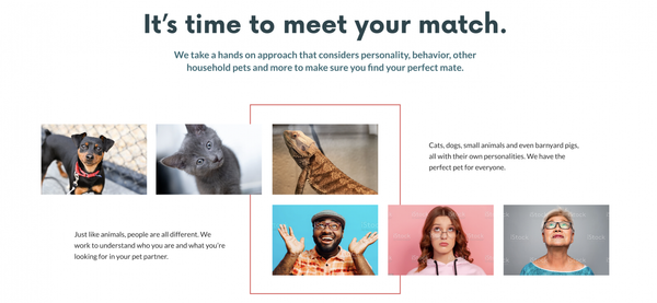 Screen Shot 2022-09-29 at 8.08.32 AM