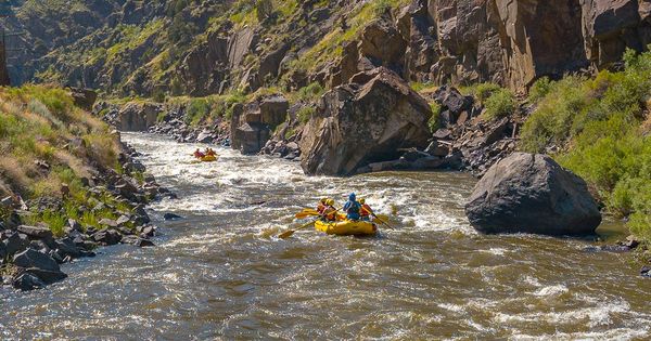 Compare Colorado White Water Rafting Trips - Near Colorado Springs | Royal Gorge Rafting