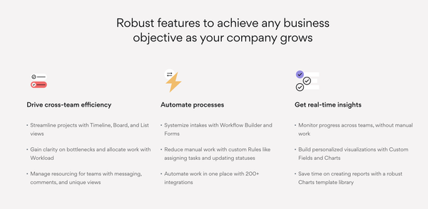 Asana // Checklist with details