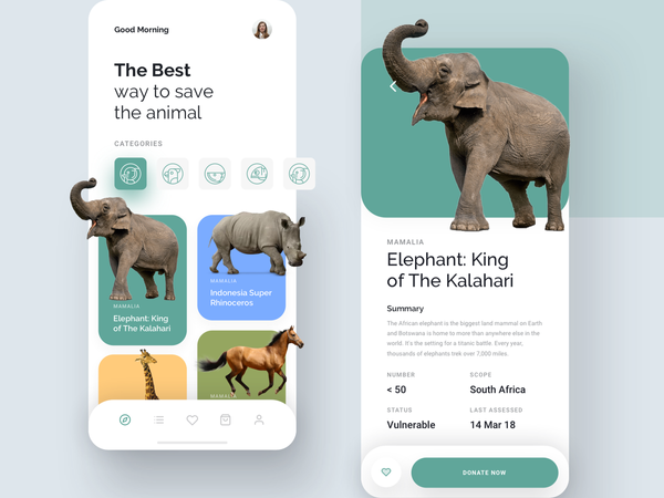 Kewan - Animal Conservation App by Piko Rizky Dwinanto ✪ for OWW on Dribbble