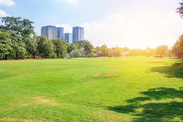 Park Activity Background photos, royalty-free images, graphics, vectors & videos | Adobe Stock