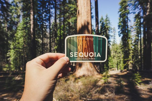 Dribbble - 2018-04-25_12.05.56.jpg by Alex Eiman