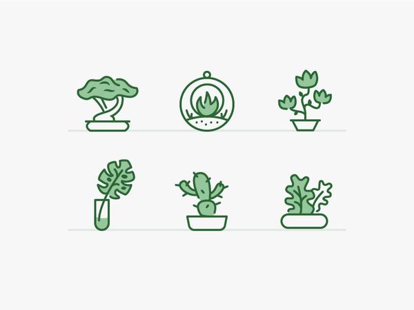 Plants & Pots by Zach Roszczewski on Dribbble
