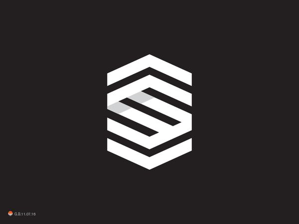 S by George Bokhua - Dribbble