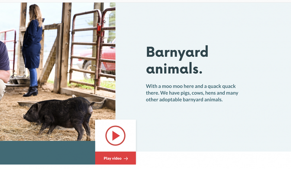 Screen Shot 2022-09-29 at 8.08.23 AM