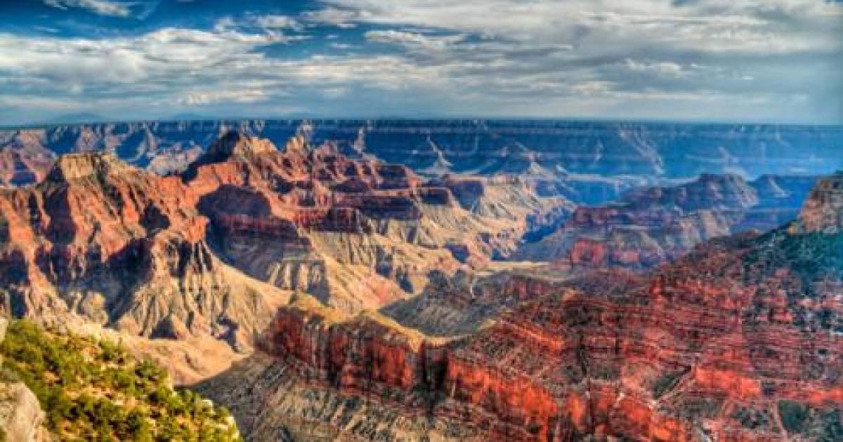 Homepage | The Wilderness Society