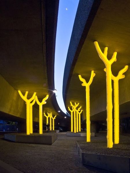 GLOWING GOLDEN FOREST, SYDNEY
